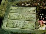 image of grave number 384236